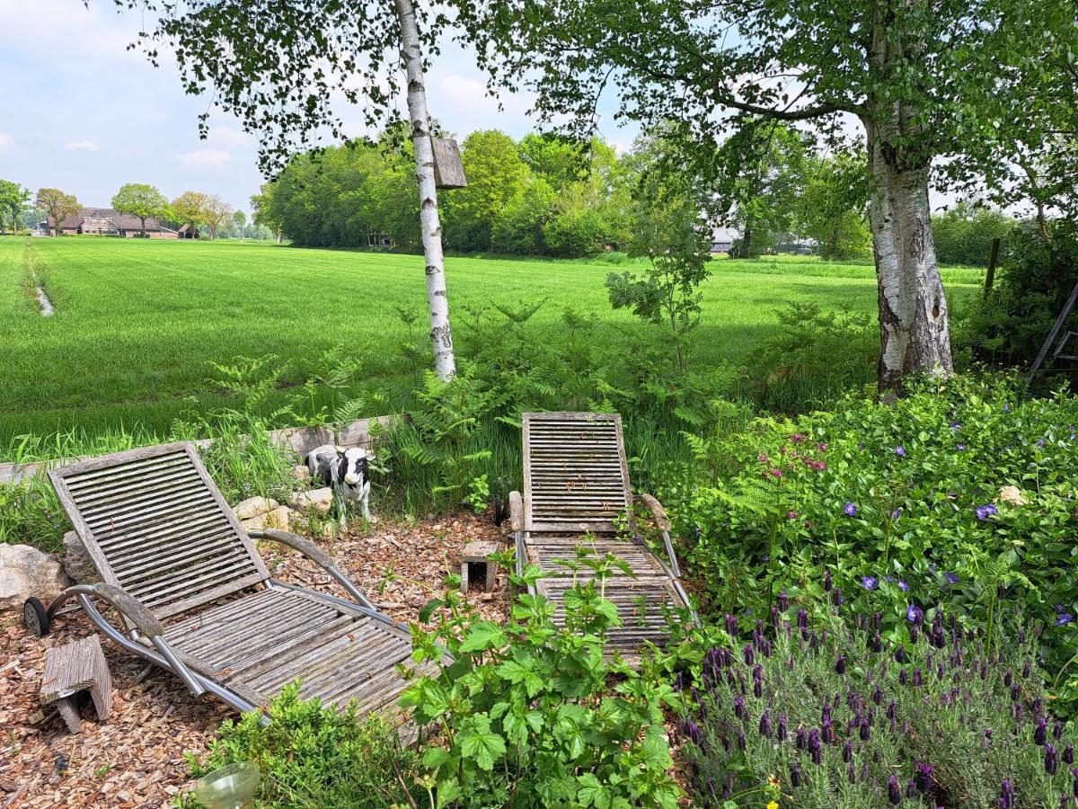 Buitenplaats Reestdal IJhorst ภายนอก รูปภาพ